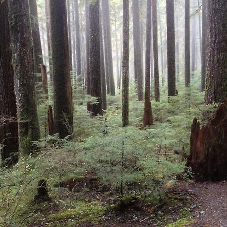 Super 8 By Wyndham Port Angeles At Olympic National Park Exterior foto