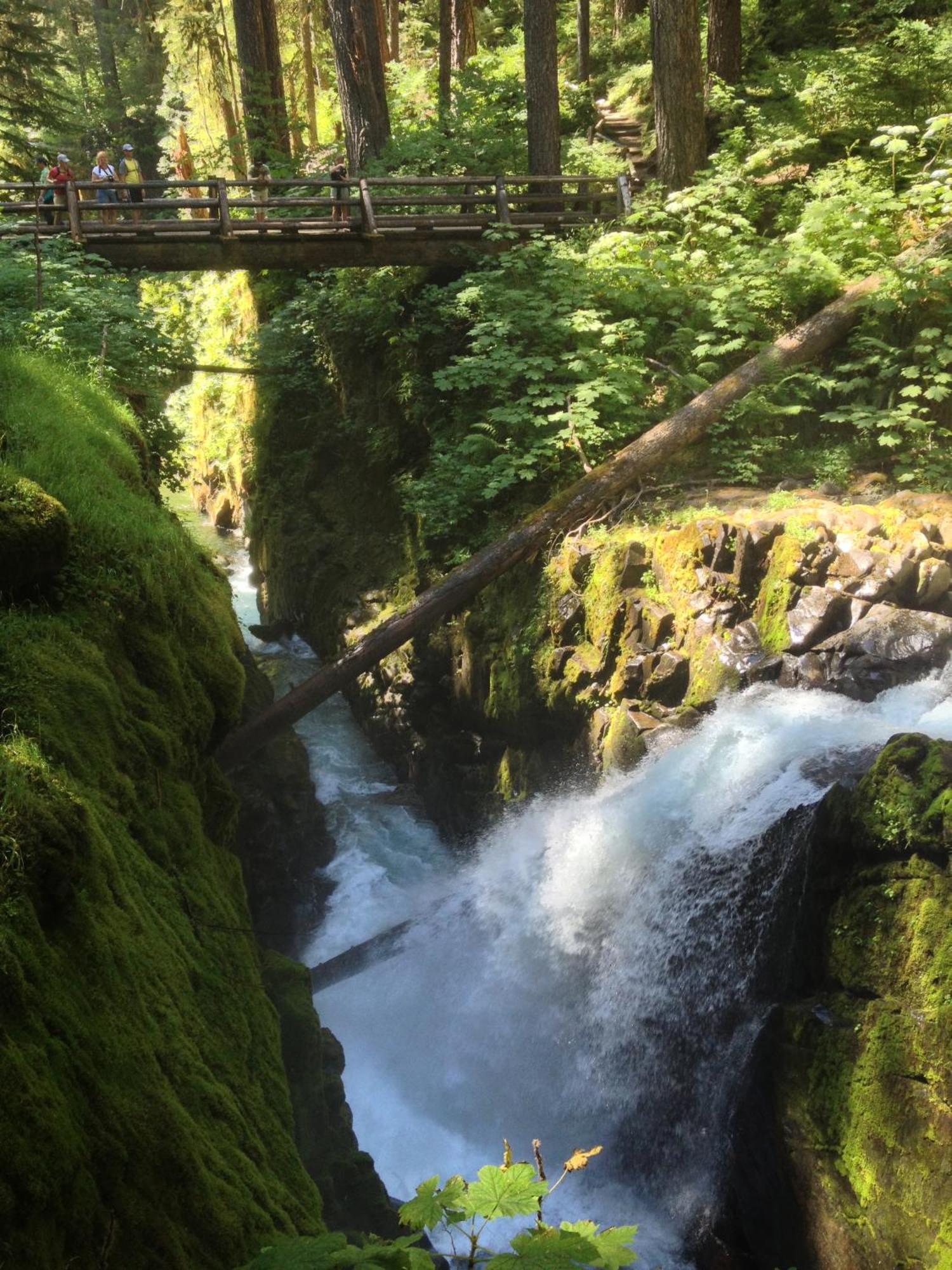 Super 8 By Wyndham Port Angeles At Olympic National Park Exterior foto