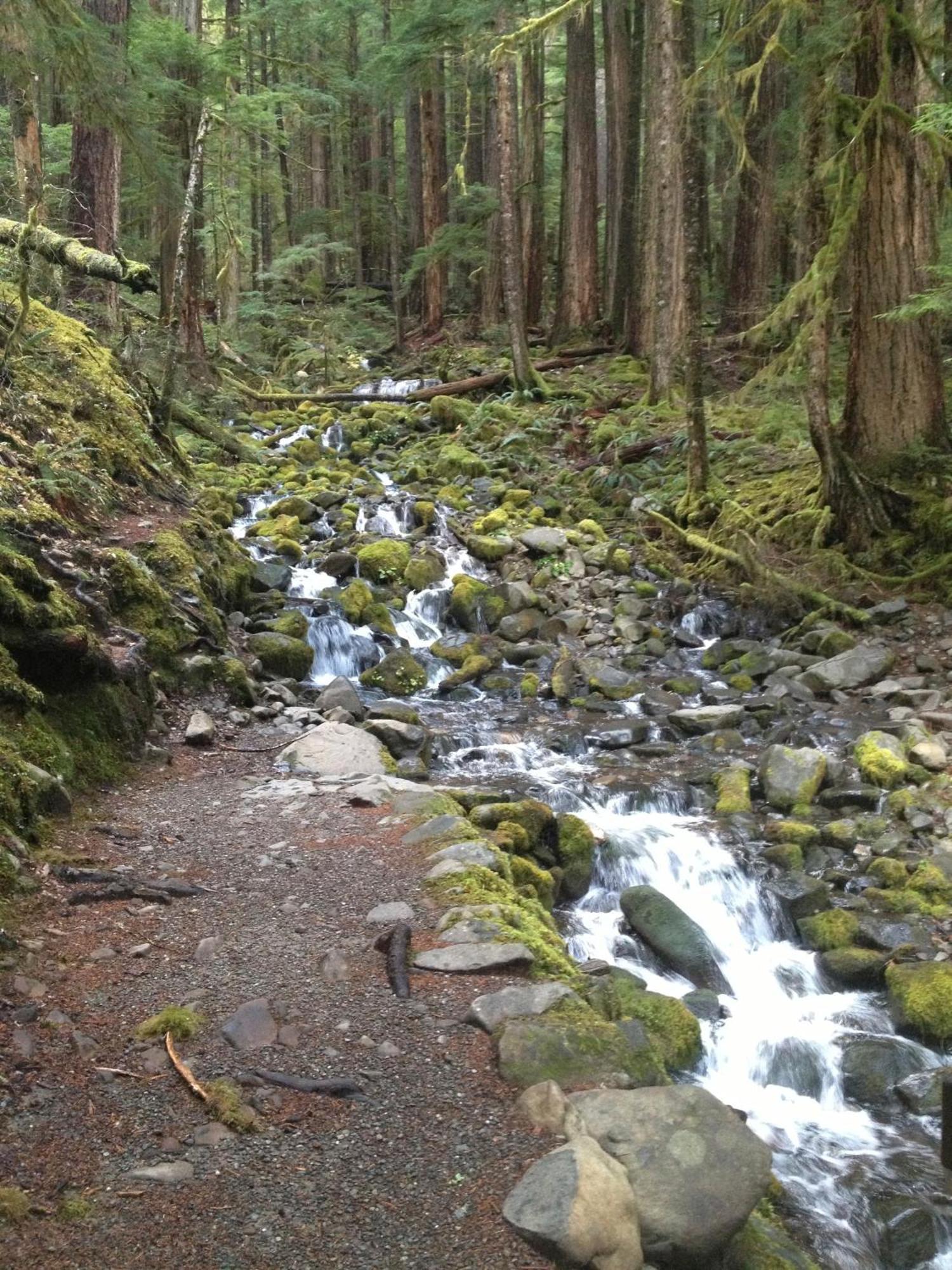 Super 8 By Wyndham Port Angeles At Olympic National Park Exterior foto