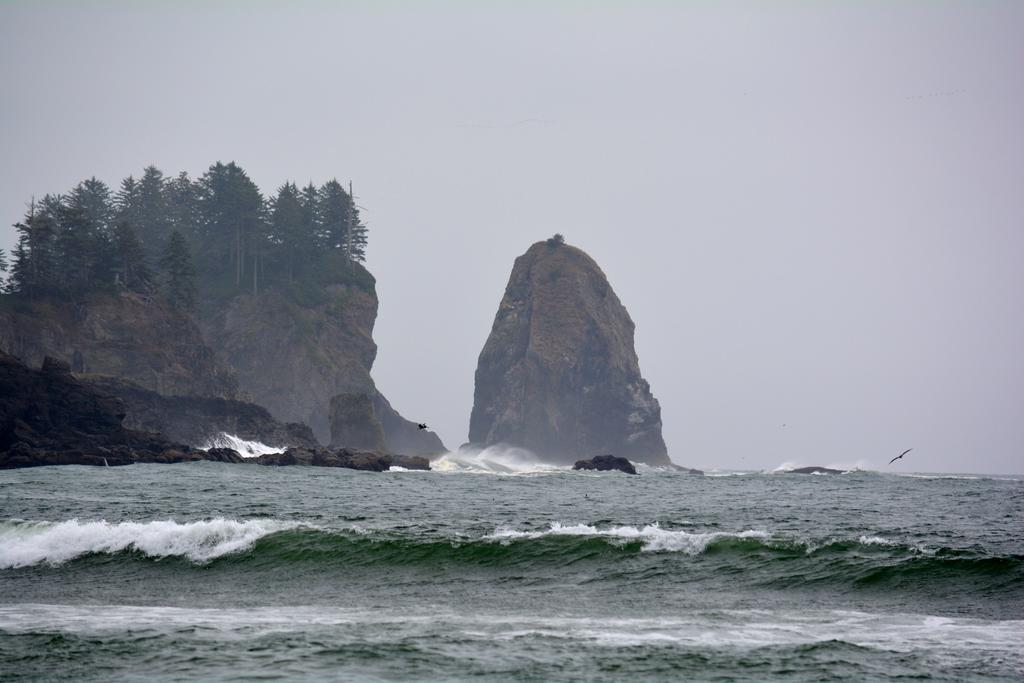 Super 8 By Wyndham Port Angeles At Olympic National Park Exterior foto