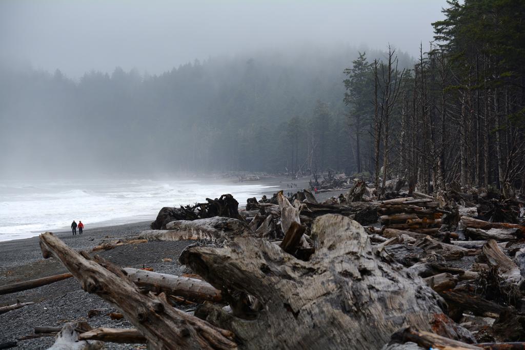 Super 8 By Wyndham Port Angeles At Olympic National Park Exterior foto