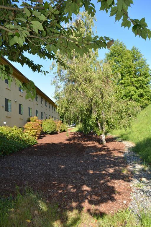Super 8 By Wyndham Port Angeles At Olympic National Park Exterior foto